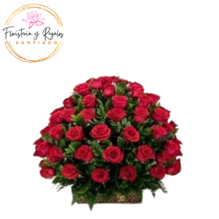 ARREGLO DE 55 ROSAS