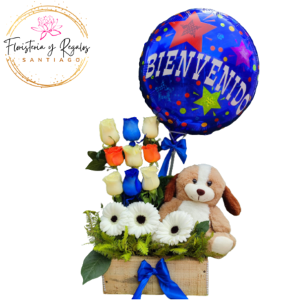 CAJA RECTANGULAR DE 9 ROSAS, 3 GERBERAS, PELUCHE 25CM Y GLOBO