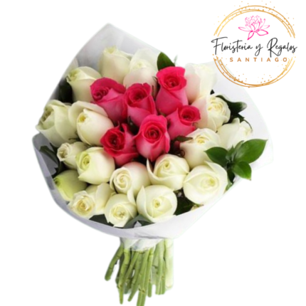 RAMO DE 24 ROSAS BICOLOR