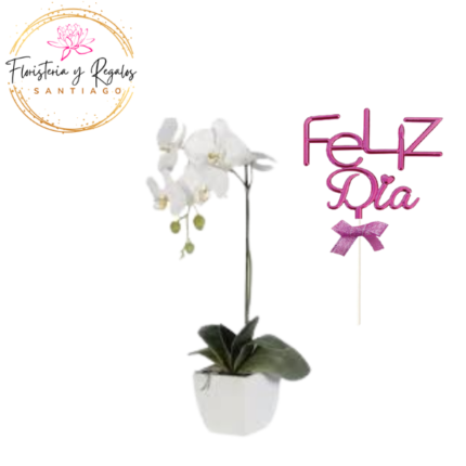 ORQUIDEA ARREGLADA + TOPPER