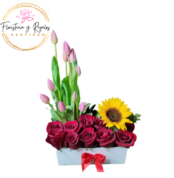 ARREGLO PELUCHE (15) ARREGLO PELUCHE (15)