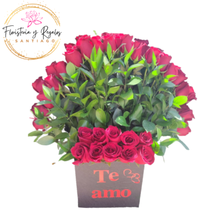 ARREGLO ABANICO DE 60 ROSAS