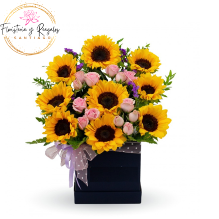 BOX 12 ROSAS 9 GIRASOLES