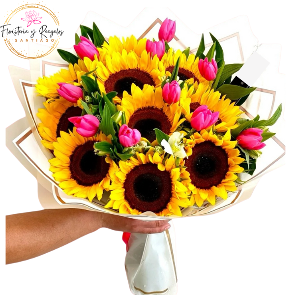 Diseño sin título (63)