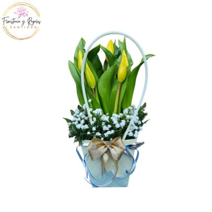 CARTERA DE 5 TULIPANES Y FOLLAJE